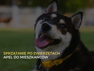Apel do mieszkańców o sprzątanie po psach