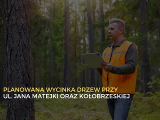 Wycinka drzew przy ul. Jana Matejki i Kołobrzeskiej w dniach 14-15 maja 2026