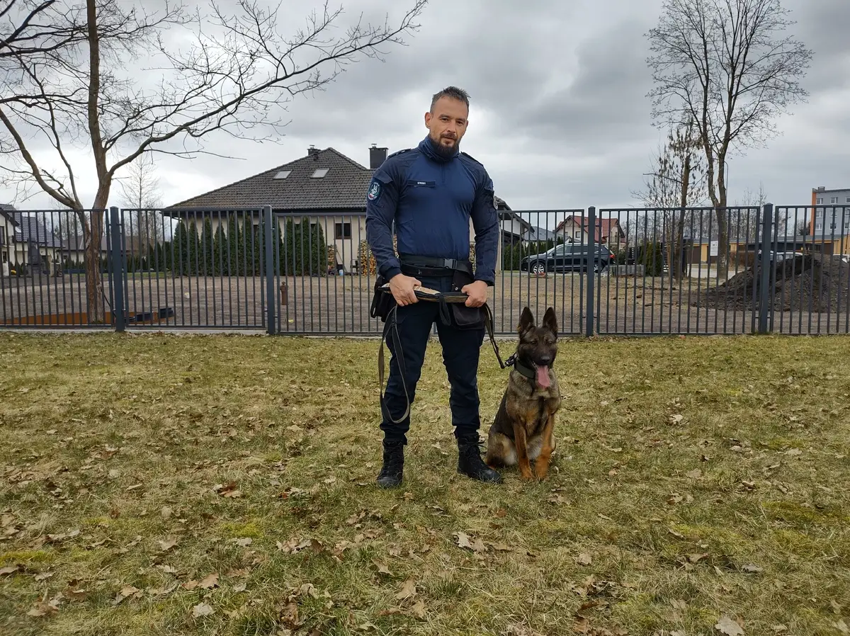 Policja odnalazła 36-latka dzięki pracy psa służbowego