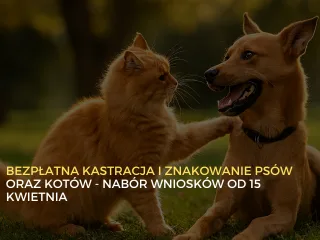 Bezpłatna kastracja i znakowanie zwierząt - nabór wniosków od 15 kwietnia